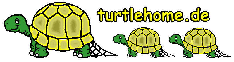 Logo turtlehome